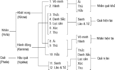 dp&pp-25a.gif (7844 bytes)